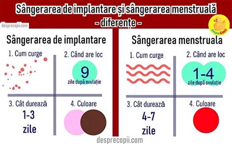 implantarea ovulului|Primul simptom de sarcina: sangerarea de implantare